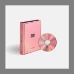 DREAMUS Mamamoo Mic On Mini Album - All ordered item will be shipped with a tracking number