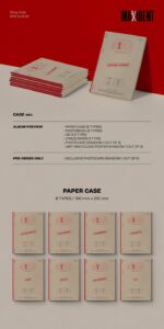 Stray Kids MAXIDENT Album - Image 2