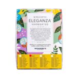 Wonderfil Cotton Set - Image 4