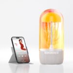 Jellyfish Speaker Lamp