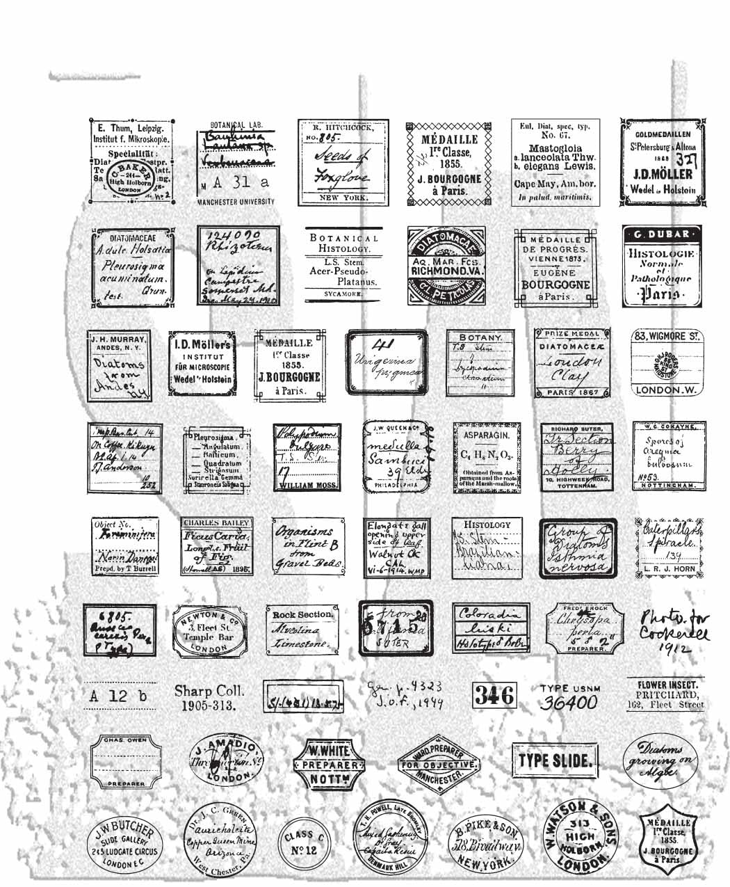71EGU8h7uL Tim Holtz Curator Stamps - Image 1