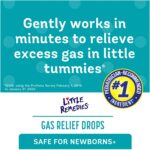 Little Remedies Gas Relief Drops - Image 3