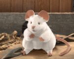 Folkmanis Mouse Hand Puppet - Image 2