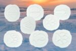 Polar Footprints Set - Image 2