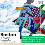 Learning Lovey Boston Tag Toy - Image 3