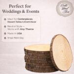Natural Wood Slices Set - Image 2