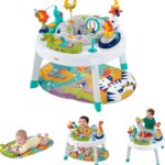 Fisher-Price Sit-to-Stand Activity Center