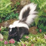 Folkmanis Skunk Puppet - Image 2