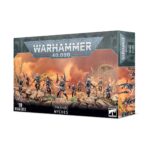Games Workshop Dark Eldar Wyches