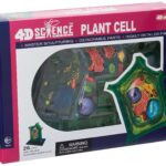 Famemaster Plant Cell Model