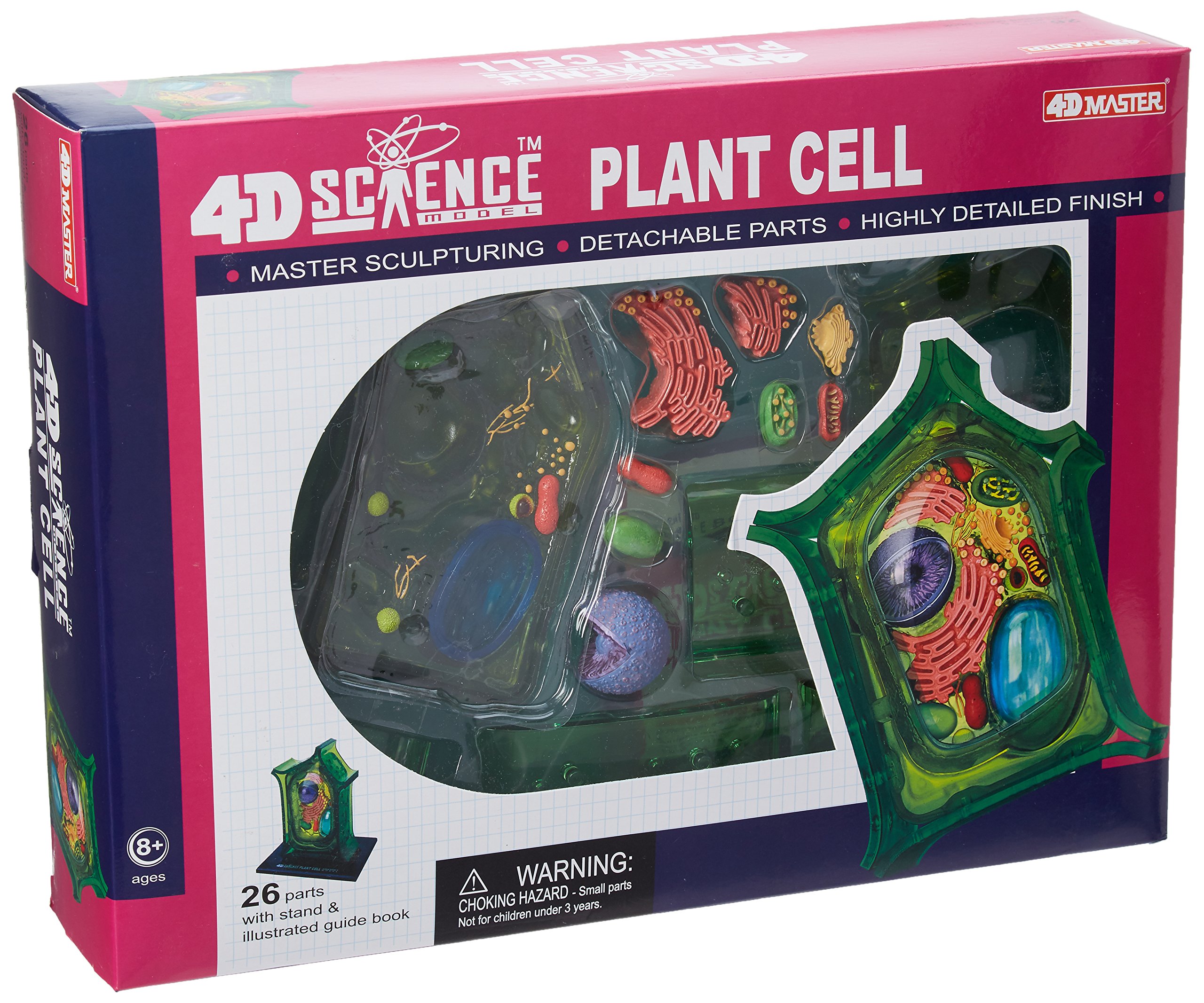 91KJrx3mqJL Famemaster Plant Cell Model - Image 1